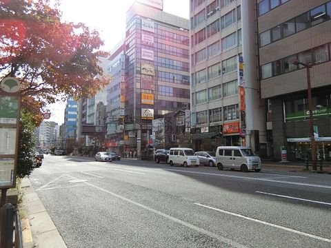 目白通り
