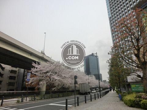 大通り