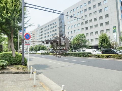 大通り