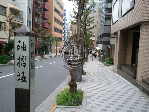大通り