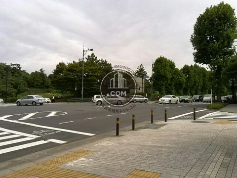 大通り