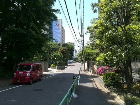 一番町の裏路地、緑が多いです