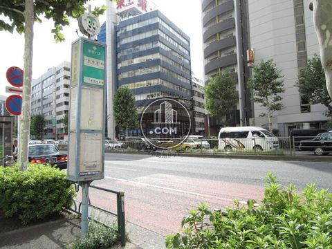 大通り
