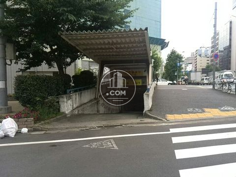 大通り