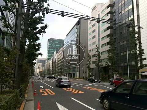 大通り