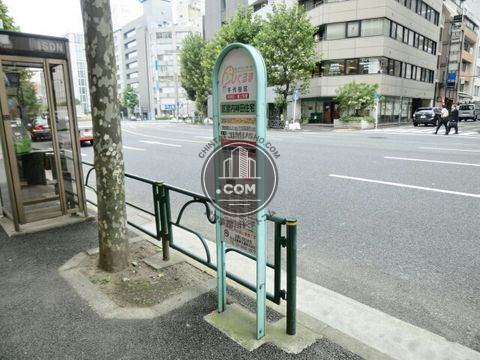 大通り