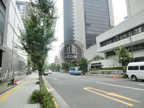 大通り