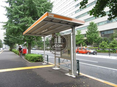 大通り