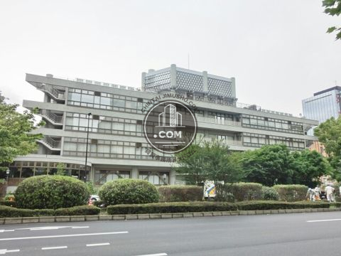 大通り