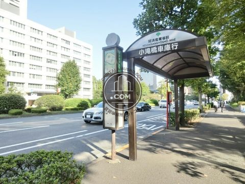 大通り