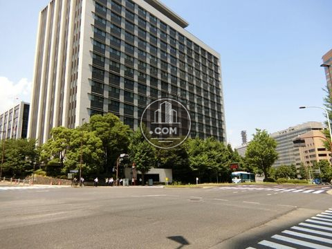 大通り