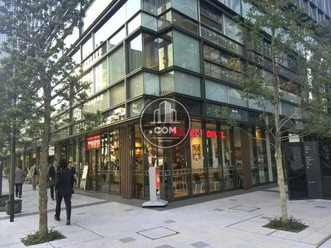 大通り
