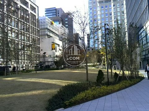 大通り