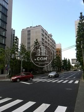 大通り