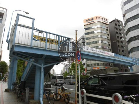 大通り