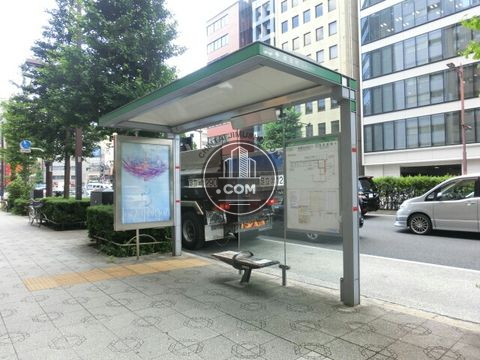 大通り