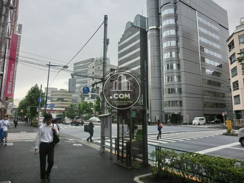 大通り