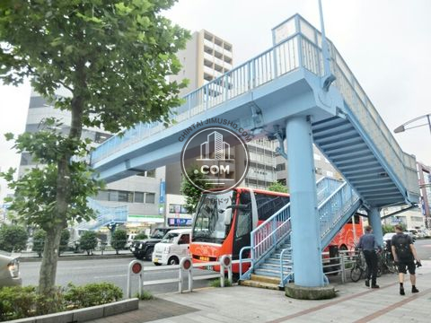 大通り