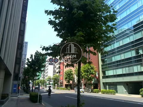大通り