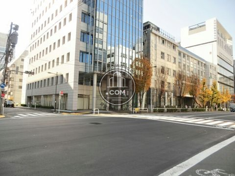 大通り