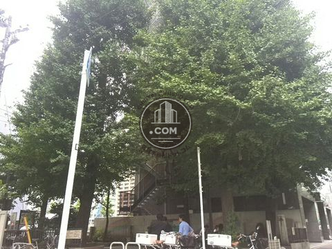 裏路地