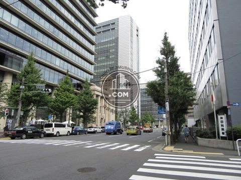 大通り