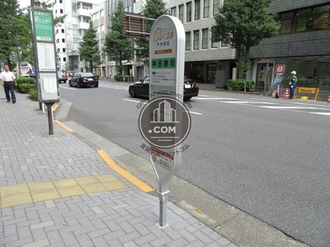 大通り