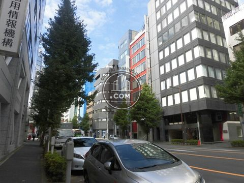 大通り