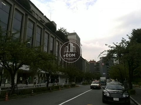 裏路地