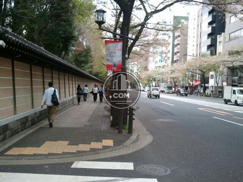 大通り