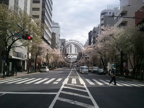 大通り