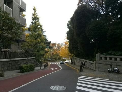 靖国神社参道前、秋には色付いた銀杏が望めます