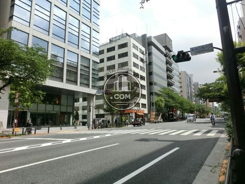 大通り