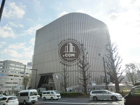 大通り