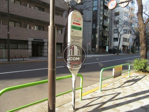 大通り