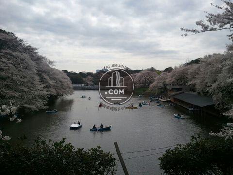 駅周辺