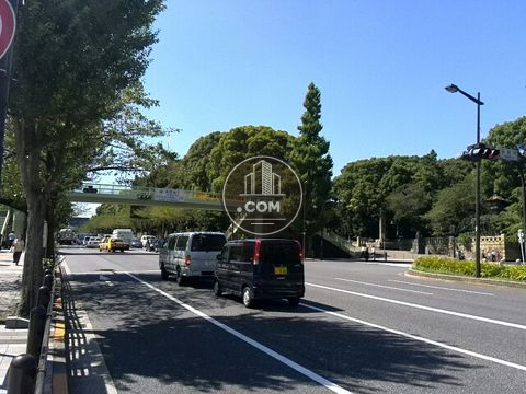 大通り