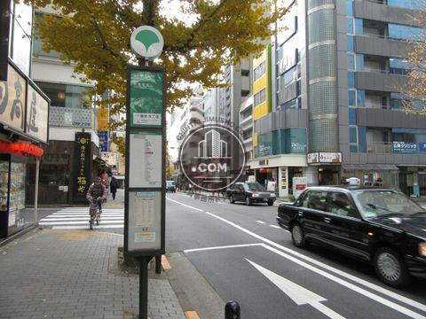 大通り