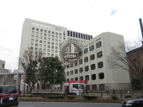 大通り