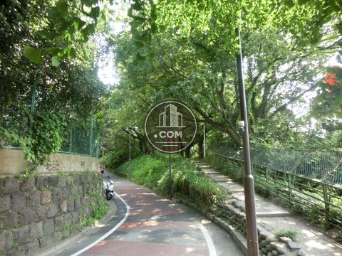 裏路地