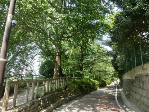 線路沿いの裏道