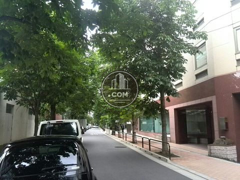 裏路地