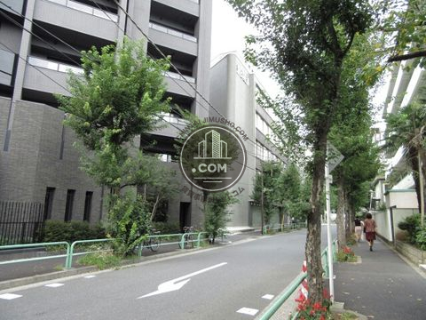 大通り