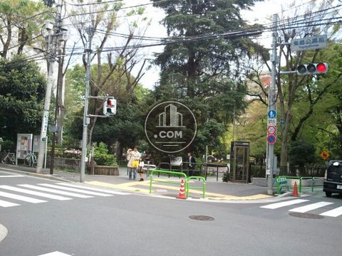 大通り