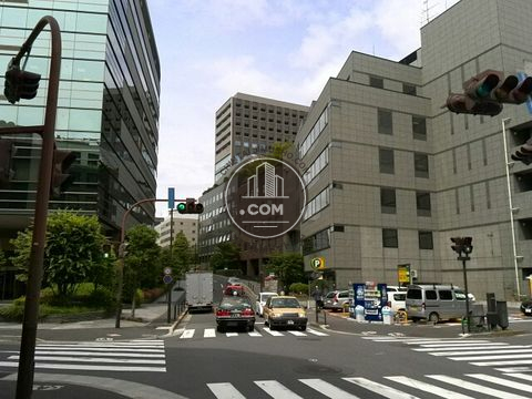 大通り