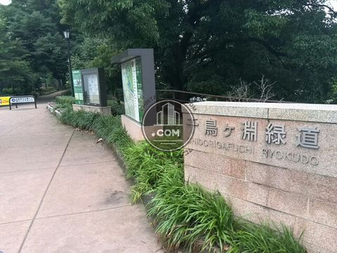 裏路地