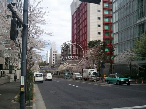 大通り