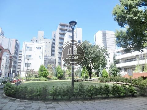 大通り