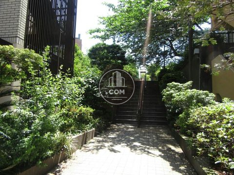 裏路地