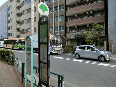 大通り